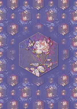 Pink Cumberland Rose