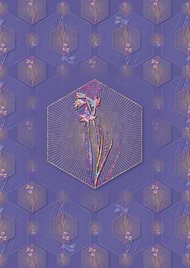 Painted Lady Pattern