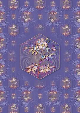 Rosa Redutea Glauca Flower