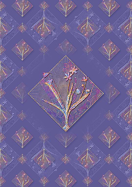 Scilla Amoena Pattern