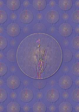 Narrow Blue Eyed Grass