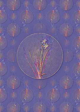 Narcissus Calathinus