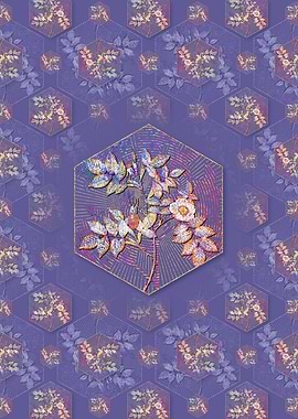 Mountain Rose Bloom Flower