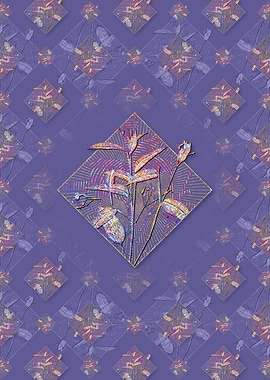 Maranta Arundinacea Flower