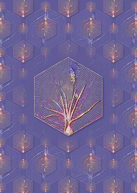 Muscari Ambrosiacum Flower