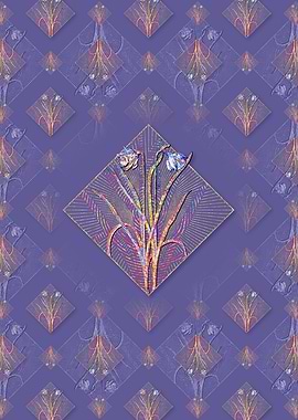 Narcissus Candidissimus