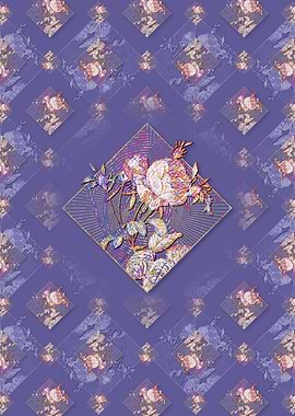 Pink Cabbage Rose de Mai