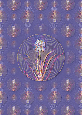Mourning Iris Pattern