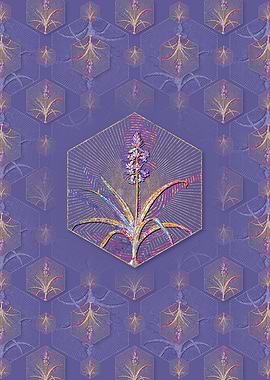 Scilla Patula Pattern