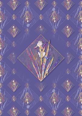 Tall Bearded Iris 2 Flower