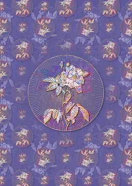 Variegated French Rosebush