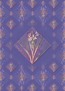 Sword Lily 2 Pattern