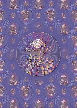 White Rose of Rosenberg