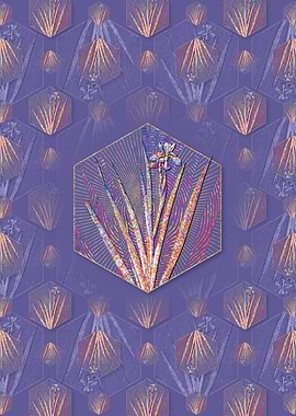 Stinking Iris Pattern