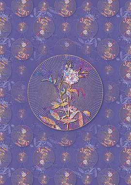 White Rose of York Pattern