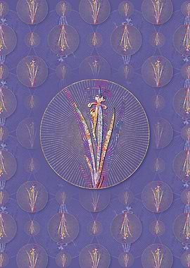 Yellow Banded Iris Pattern