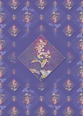 White Gillyflower Bloom