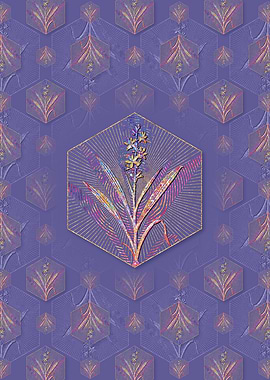 Wachendorfia Thyrsiflora