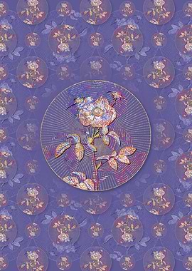 Stapelia Rose Bloom Flower