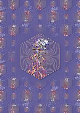 Small White Flowers Flower