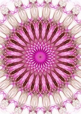 Cream and pink mandala