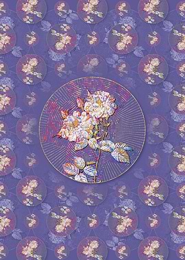 White Damask Rose Pattern