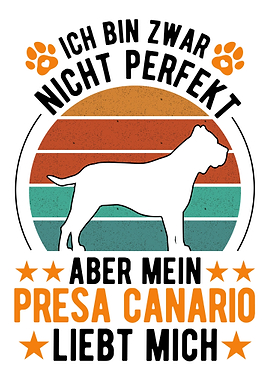 Presa Canario Hund Dogo Ca