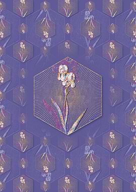 Tall Bearded Iris Pattern