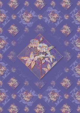 Van Eeden Rose Pattern