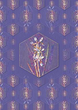 Yellow Banded Iris 2