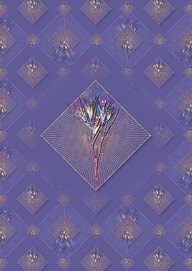 Witsenia Maura Pattern