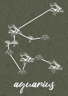 Zodiac Aquarius Sign