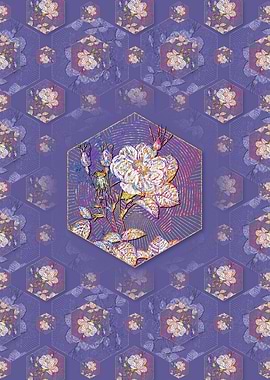 White Rose of York 2