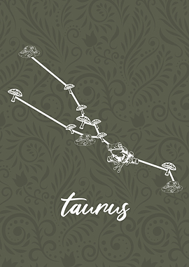 Zodiac Taurus Sign