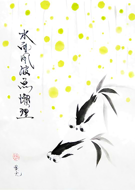 Dance Of The Dragonflies