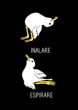 Seagull Yoga Italian