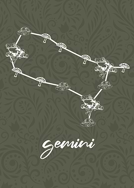 Zodiac Gemini Sign