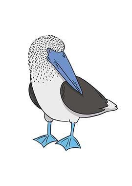 Blue Footed Booby