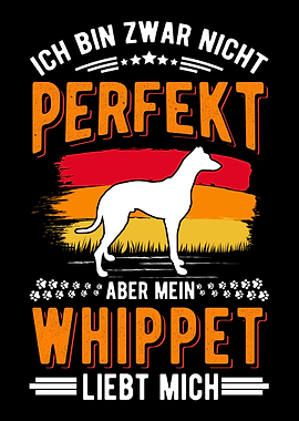 Whippet Hund Windhund Sigh