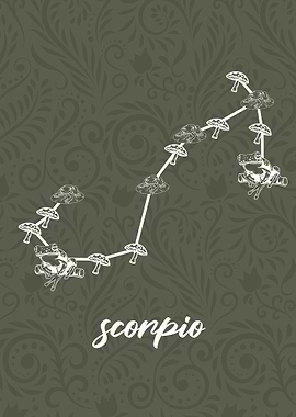 Zodiac Scorpio Sign