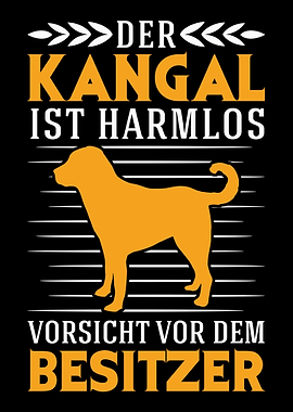 Kangal Hund Hirtenhund Kar