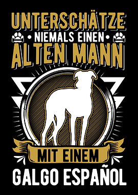 Galgo Espaol Alter Mann S