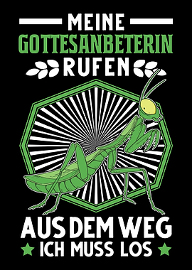 Meine Gottesanbeterin ruft