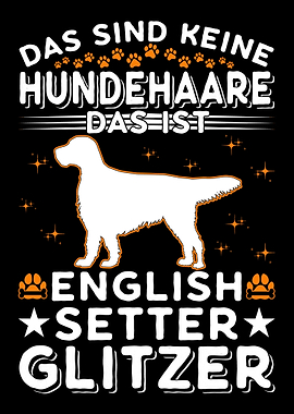 English Setter Glitzer Eng