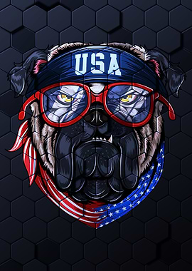 Bull Dog Usa America Flag
