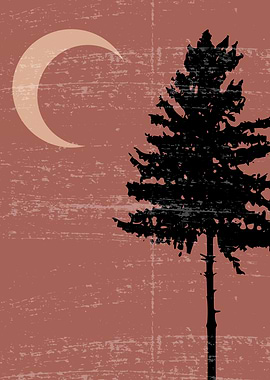 Nature Moon Sunset night