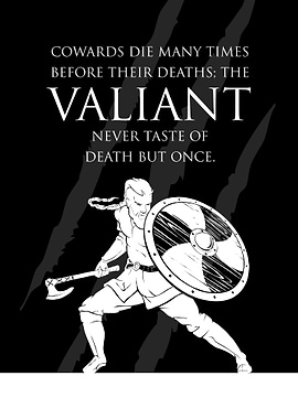 Valiant Soldier