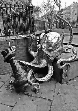 Old Town Octopus
