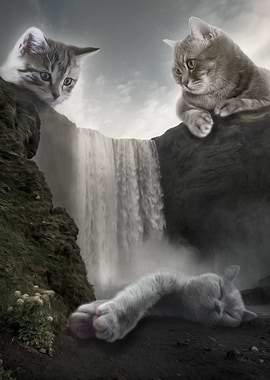 Cat Falls