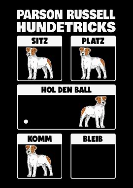 Parson Russell Terrier Hun